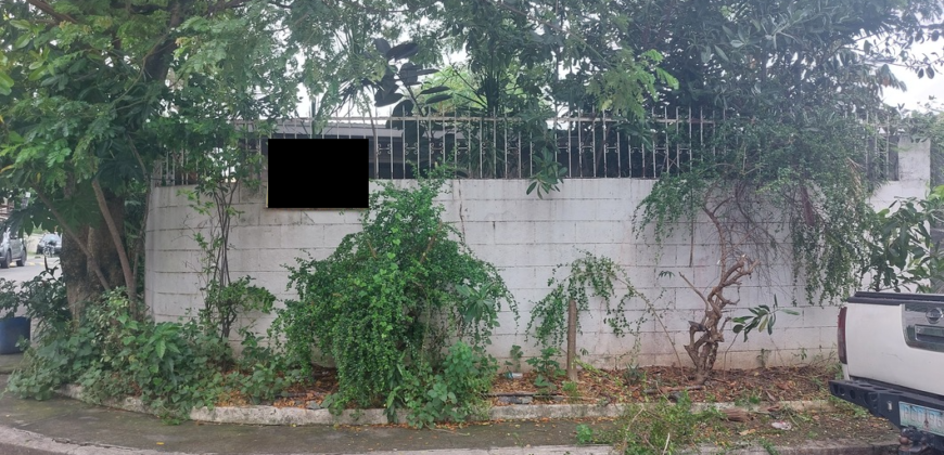 Corner House and Lot For Sale In Paranaque