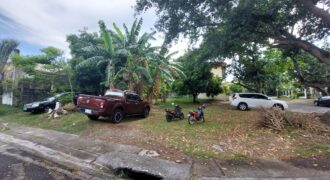 Corner Lot For Sale In Ayala Alabang Village