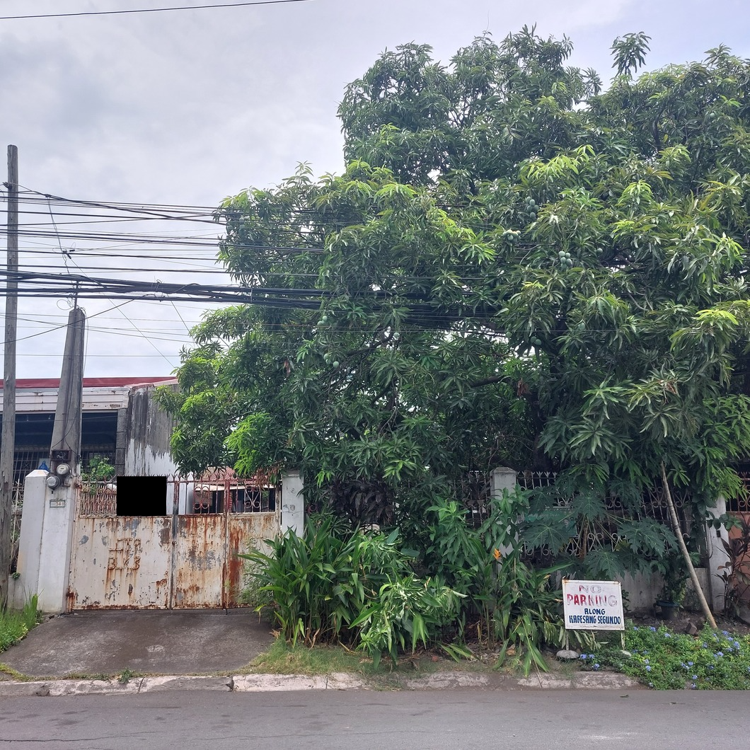 House And Lot For Sale In Paranaque