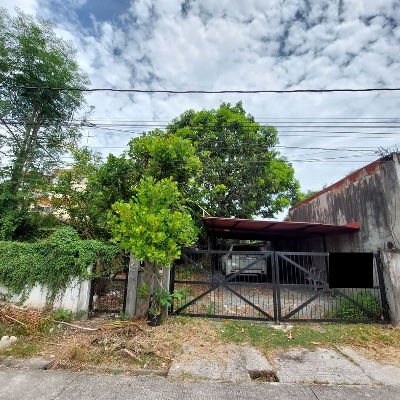 Lot For Sale In Paranaque