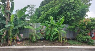 Lot For Sale In Paranaque