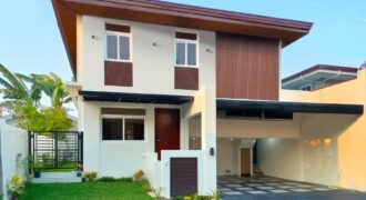 Bright and Modern New House For Sale in BF Paranaque