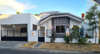 Beautiful Modern Bungalow in BF Homes, Paranaque