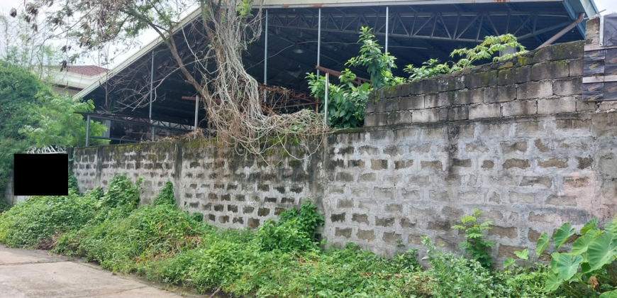 Lot for Sale In Multinational Village Paranaque