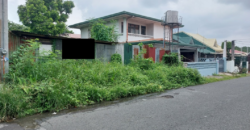 Lot For Sale In Las Pinas