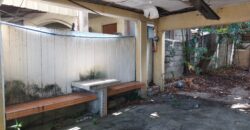 House And Lot For Sale In Severina Paranaque City