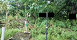 Lot For Sale In Las Pinas City