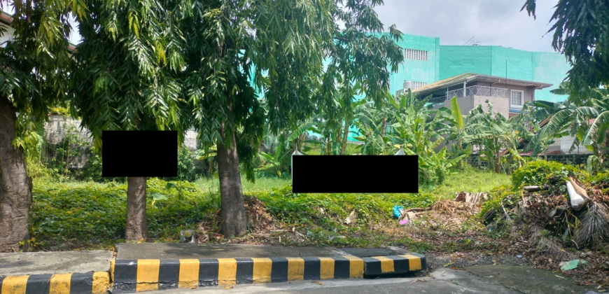 Lot For Sale In Cittadella Village Las Pinas City