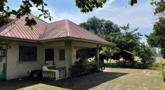 Farm House For Sale in Mexico Pampanga