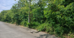 Lot For Sale In BF Homes Paranaque