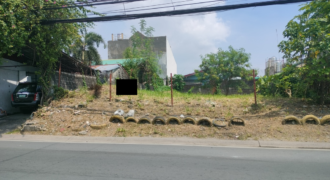 Lot For Sale In BF Homes Paranaque