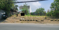 Lot For Sale In BF Homes Paranaque