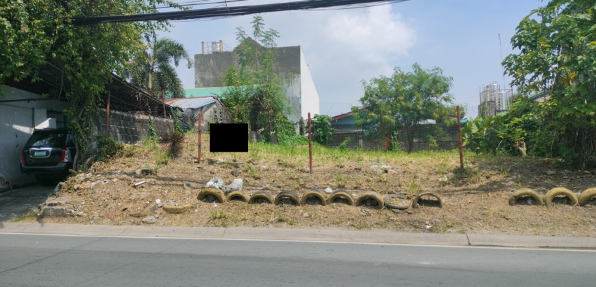 Lot For Sale In BF Homes Paranaque