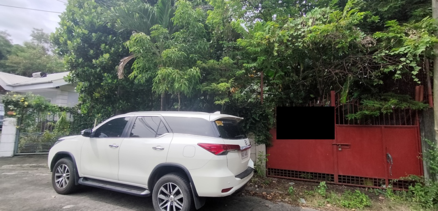 Lot For Sale In BF Homes Paranaque