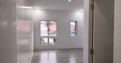 2 Storey House And Lot For Sale In Las Pinas