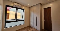 Brand New Modern Home in BF Homes Las Pinas