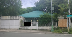 For Sale House and lot Bf Homes Paranaque