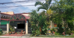 House And Lot For Sale In BF Homes Las Pinas