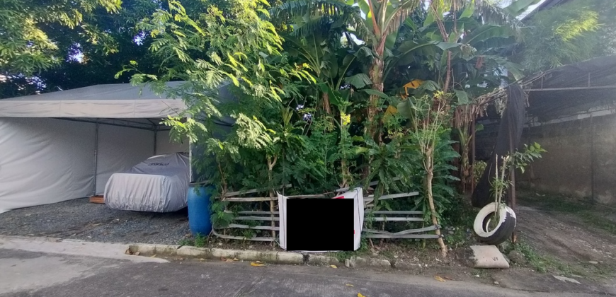 Lot For Sale In Pilar Las Pinas