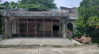 House And Lot For Sale In BF Homes Paranaque