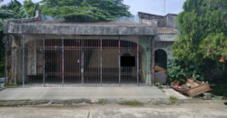 House And Lot For Sale In BF Homes Paranaque