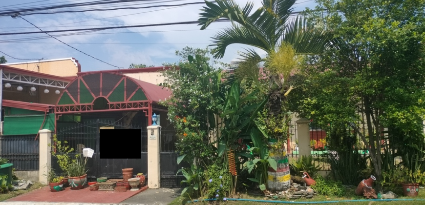 House And Lot For Sale In BF Homes Las Pinas