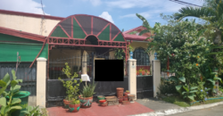 House And Lot For Sale In BF Homes Las Pinas