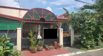 House And Lot For Sale In BF Homes Las Pinas