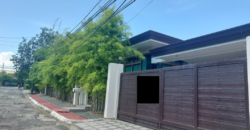House and Lot For Sale In Marcelo Green Village Paranaque