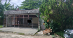 House And Lot For Sale In BF Homes Paranaque