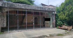 House And Lot For Sale In BF Homes Paranaque