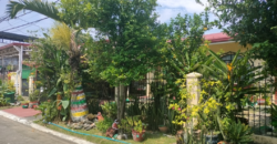 House And Lot For Sale In BF Homes Las Pinas