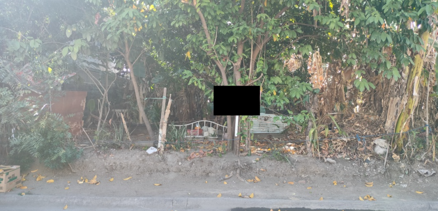 Lot For Sale In BF Resort Las Pinas