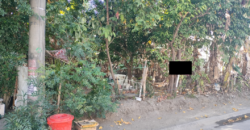 Lot For Sale In BF Resort Las Pinas