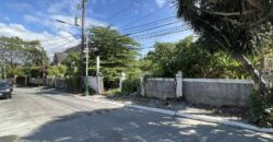 Vacant Lot for Sale in Paranaque City