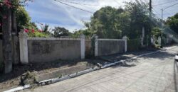 Vacant Lot for Sale in Paranaque City