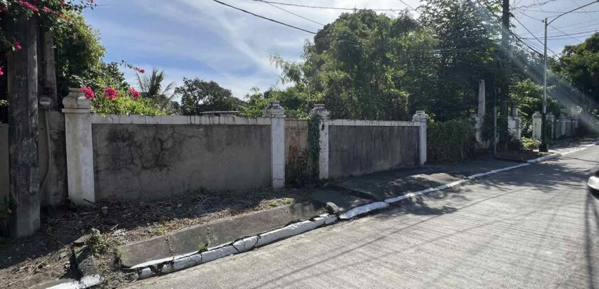 Vacant Lot for Sale in Paranaque City