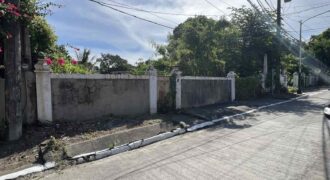 Vacant Lot for Sale in Paranaque City