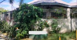 Bungalow House For Rent  In BF Homes Paranaque