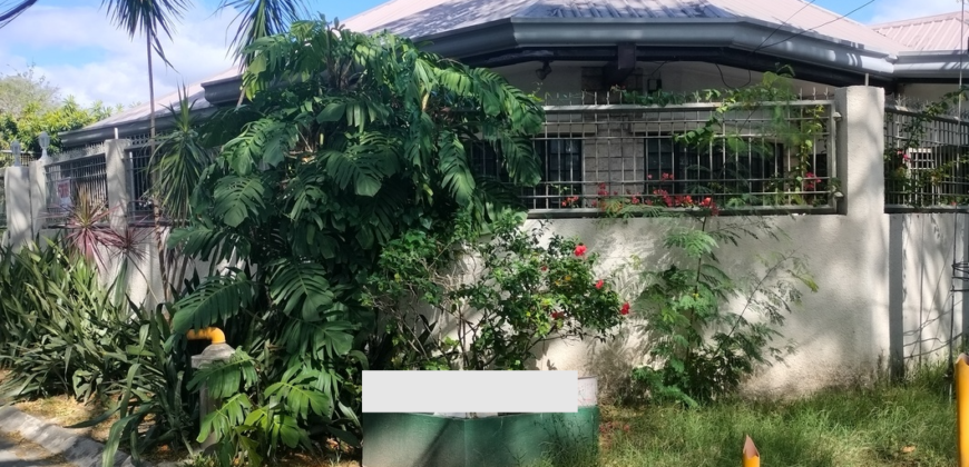 Bungalow House For Rent  In BF Homes Paranaque