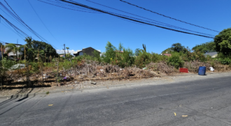 841sqm Residential Lot for Sale in BF International Las Pinas