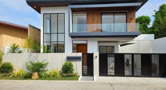 Tastefully Brandnew Modern House in BF Homes, Paranaque