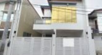 Brandnew Semi-Furnished House & Lot for Sale in Multinational Village
