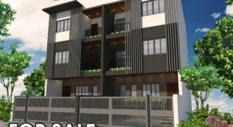 Pre-selling 3-story Duplex Units in Dona Manuela Subd., Las Pinas City