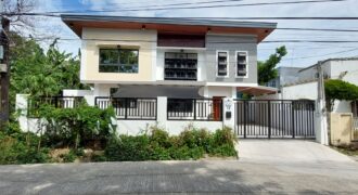 Newly Renovated House And Lot For Sale In Paranaque