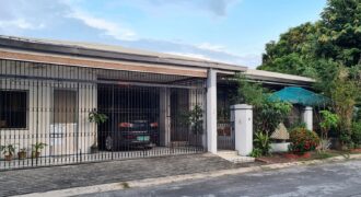 Owner Built Corner Bungalow for Sale in Pilar Village