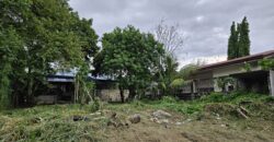 Lot Only in BF International, Las Piñas