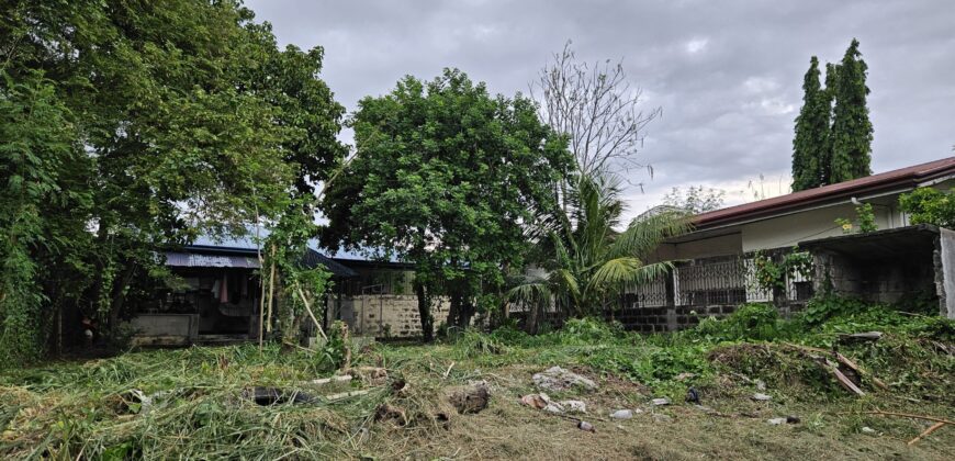 Lot Only in BF International, Las Piñas