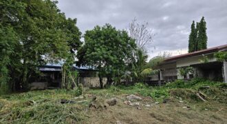 Lot Only in BF International, Las Piñas