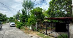 Lot For Sale In Paranaque